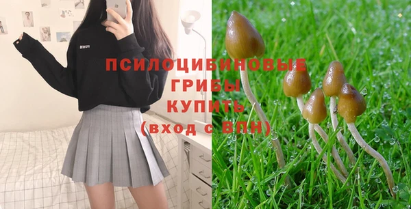 ГАЛЛЮЦИНОГЕННЫЕ ГРИБЫ Зерноград