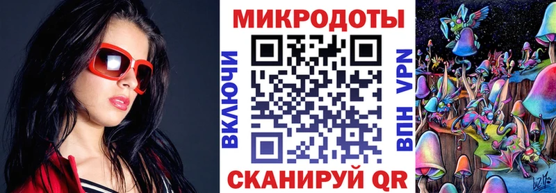 Купить Козловка Галлюциногенные грибы мухоморы